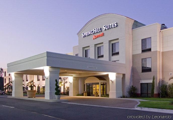 Springhill Suites By Marriott Voorhees Mt. Laurel/Cherry Hill Екстер'єр фото